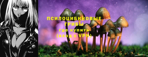 дживик Алексин