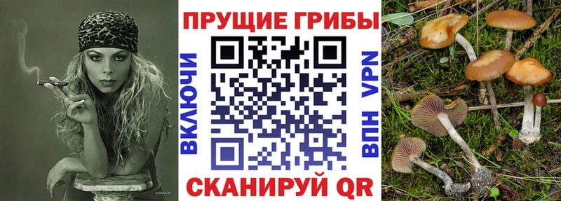 нарко площадка Telegram  Киреевск  Галлюциногенные грибы мицелий 